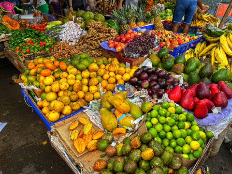 Agricultural Marketing Complex - Development Bank of Jamaica