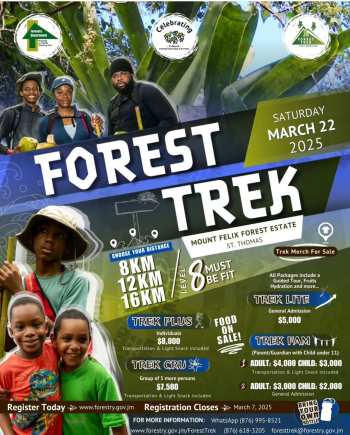 Forest Trek