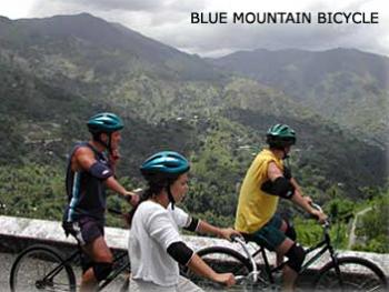 Blue Mountain Bicycle Tours 