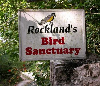 Rocklands Bird Feeding Station 