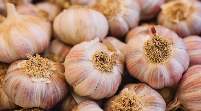 Garlic – More Than Just Vampire Protection 