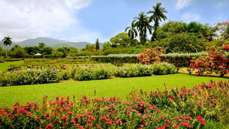 Hope Gardens | Prips Jamaica