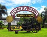 Appleton Estate Rum Factory Tours 