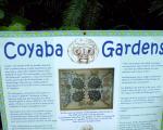 Coyaba River Garden and Museum 